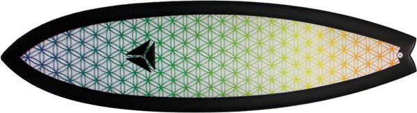 Rainbow Flower Of Life