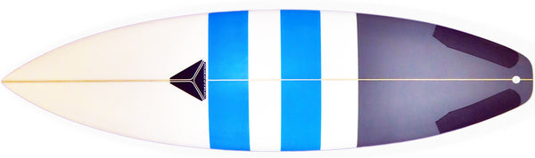 Dual Blue Bands Grey Tail Dip